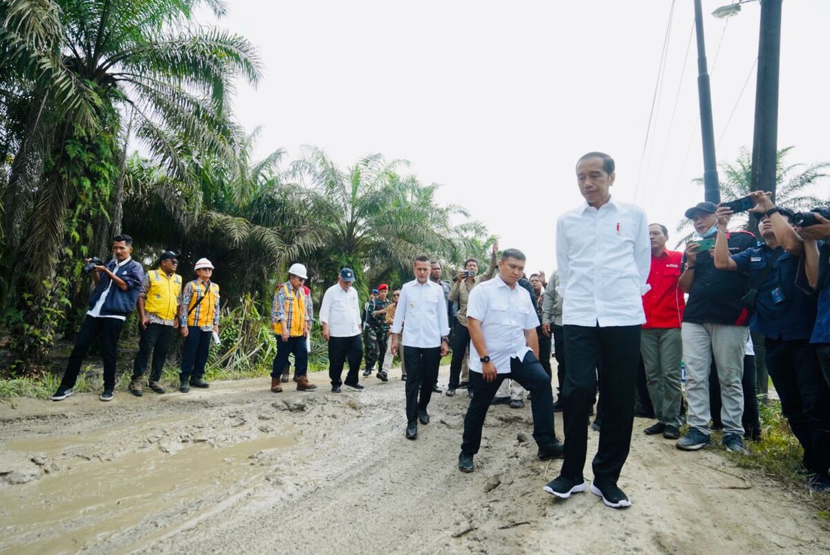 Presiden Minta Segera Perbaiki Jalan Rusak Parah di Labuhanbatu Utara