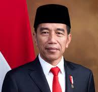 Projo Dukung Jokowi Masuk DPA Prabowo-Gibran atau Pimpin Partai Politik